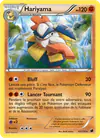 Image de la carte Hariyama 63/116
