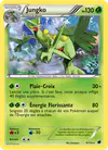 Image de la carte Jungko 8/116