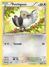 Image de la carte Poichigeon BW15/