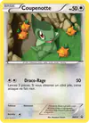 Image de la carte Coupenotte BW16/
