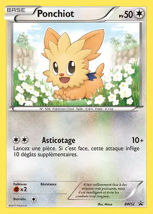 Ponchiot BW52