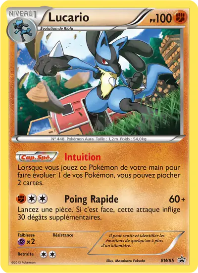 Image de la carte Pokemon Lucario BW85/101