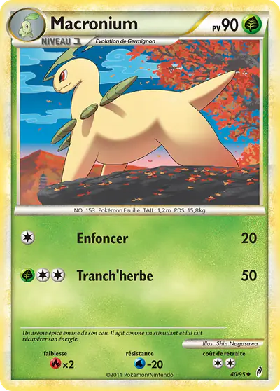 Image de la carte Pokemon Macronium 40/95