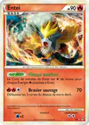 Image de la carte Entei SL3/95