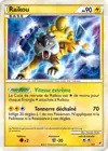 Image de la carte Raikou SL9/95