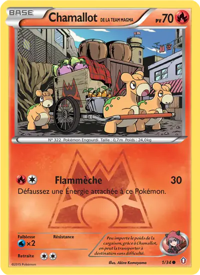 Image de la carte Pokemon Chamallot de la Team Magma 1/34