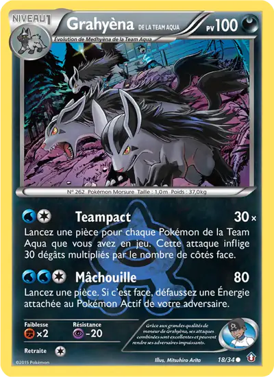 Image de la carte Pokemon Grahyèna de la Team Aqua 18/34