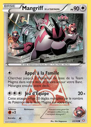 Mangriff de la Team Magma 22/34