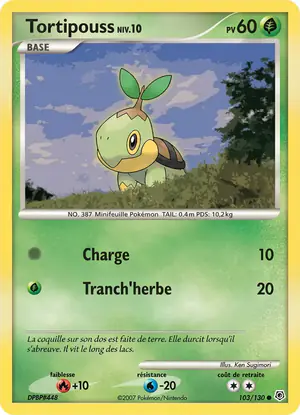 Tortipouss 103/130