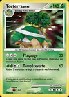 Image de la carte Torterra 17/130