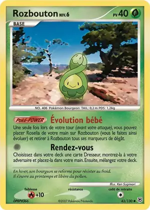 Rozbouton 43/130