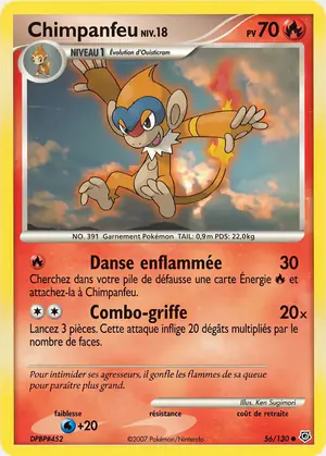 Chimpenfeu 56/130
