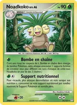 Noadkoko 24/123