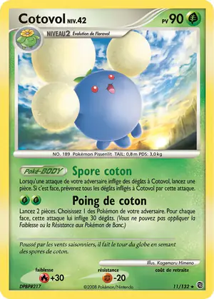 Cotovol 11/132