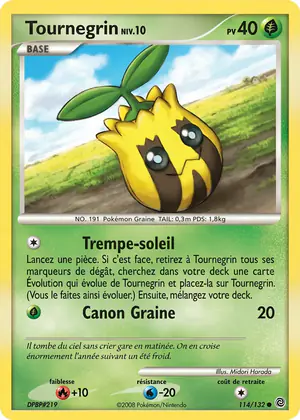 Tournegrin 114/132