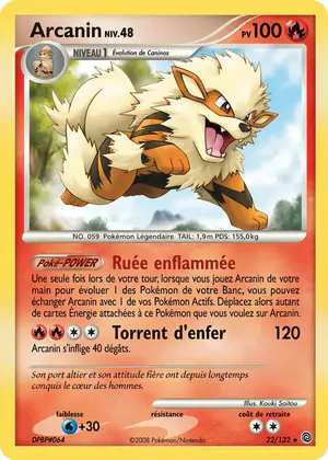 Arcanin 22/132
