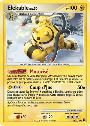 &Eacute;lekable 25/132
