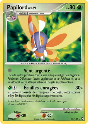 Papilord 33/132