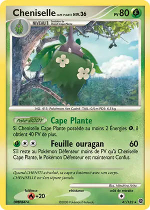 Cheniselle Cape Plante 41/132