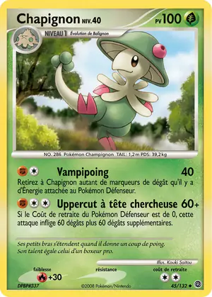 Chapignon 45/132