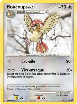 Roucoups 58/132