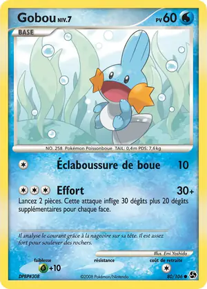 Gobou 80/106