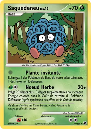 Saquedeneu 87/106