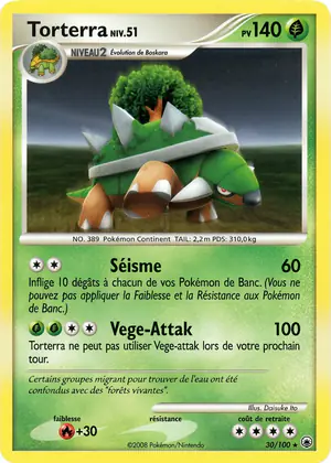 Torterra 30/100