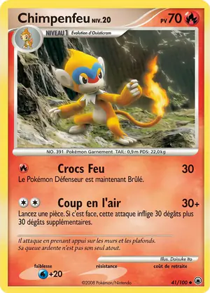 Chimpenfeu 41/100