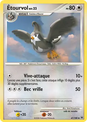 &Eacute;tourvol 47/100