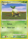 Image de la carte Tortipouss 77/100