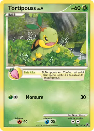 Tortipouss 78/100