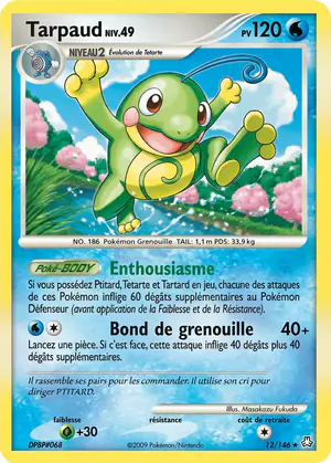 Tarpaud 12/146