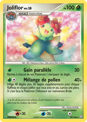 Joliflor 20/146