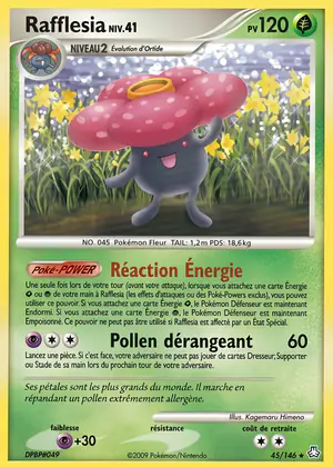 Rafflesia 45/146