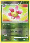 Image de la carte Ceriflor 14/100