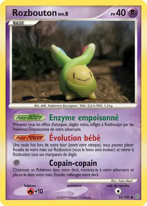 Rozbouton 33/100