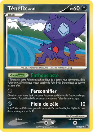 T&eacute;n&eacute;fix 48/100