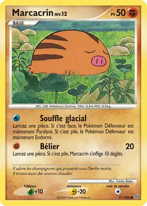 Marcacrin 77/100