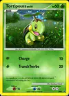Image de la carte Tortipouss DP01/