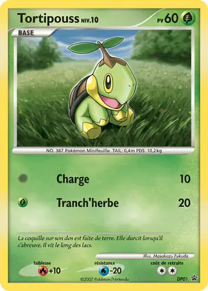 Tortipouss DP01