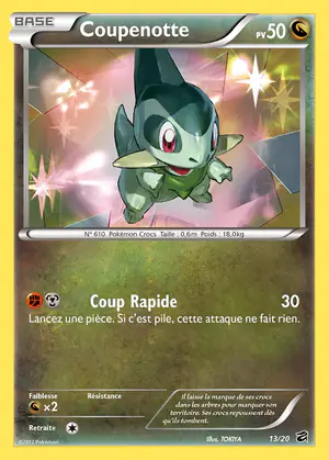 Coupenotte 13/20