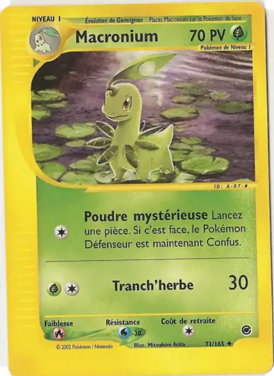 Image de la carte Pokemon Macronium 71/165