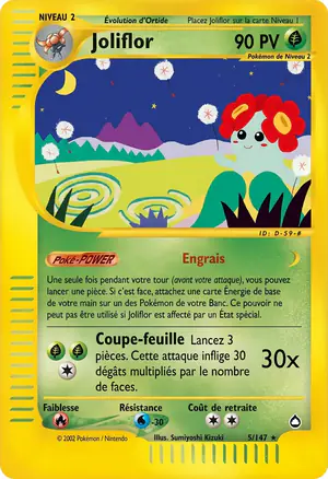 Joliflor 5/147