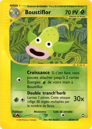 Boustiflor 65/147
