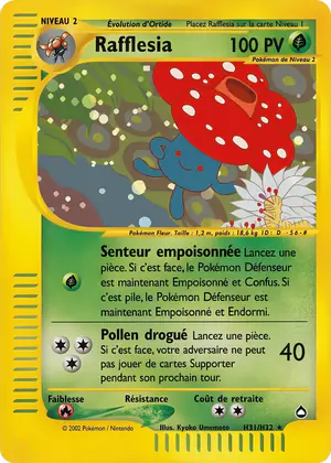 Rafflesia H31/H32