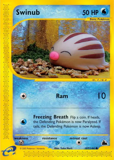 Carte Pokémon Swinub 107/182 — Skyridge