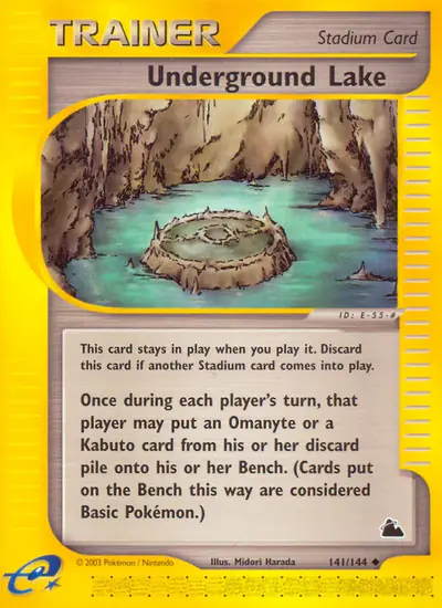 Image de la carte Pokemon Underground Lake 141/182