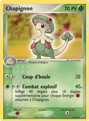 Chapignon 16/109