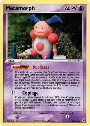 Metamorph 38/113